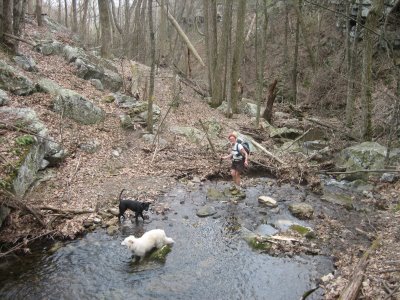 Hoop Hole upper and lower loops with puppies