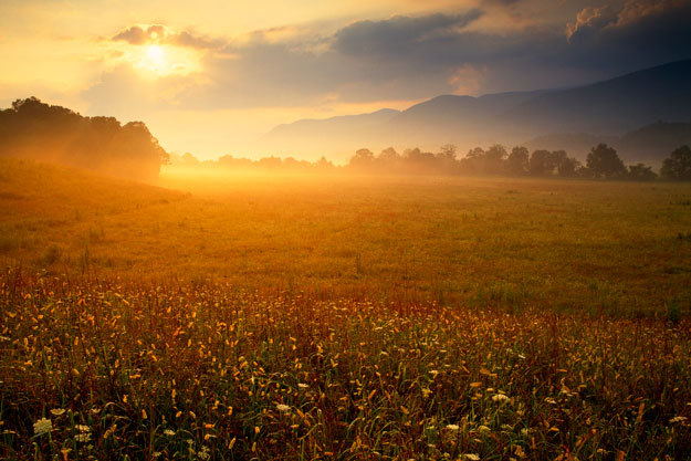 Morning fog hovers low in Tennessee's Cades Cove.