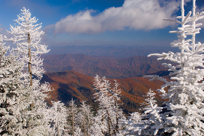 Frost-covered trees on Clingmans Dome frame a view of distant fall colors of Great Smoky Mountains National Park (North Carolina).
