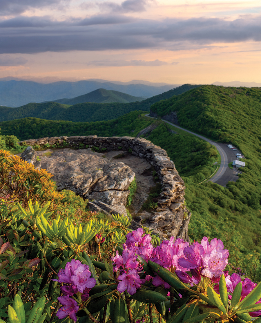 View from the  lower outcrop of Craggy Pinnacle, North Carolina, with view of the Blue Ridge Parkway. From the photographer: “I have visited Craggy Pinnacle about a dozen times over the years but never had I taken the time to explore the one trail split near the summit. It brought me to this lower overlook that offered a more private view of the parkway during peak bloom season. I was like a kid in a candy store!”