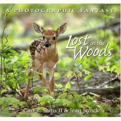 A photographic essay book by Carl L. Sams II and Jean Stock