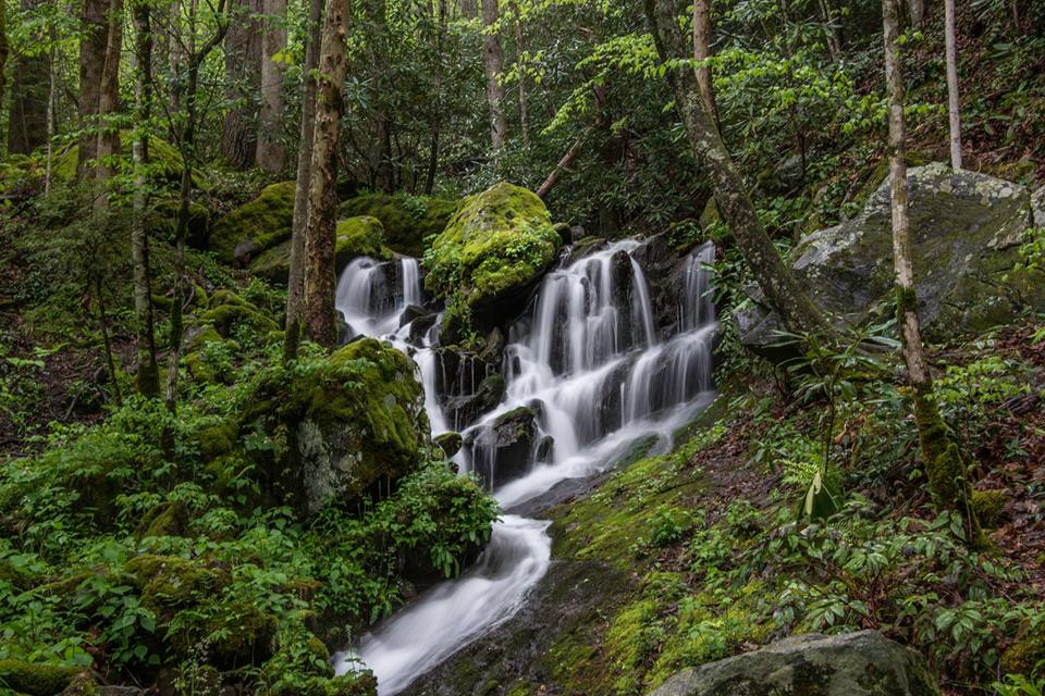 Wet weather water fall on Tremont Road. Great Smoky Mountains National Park,. 4/19/15.