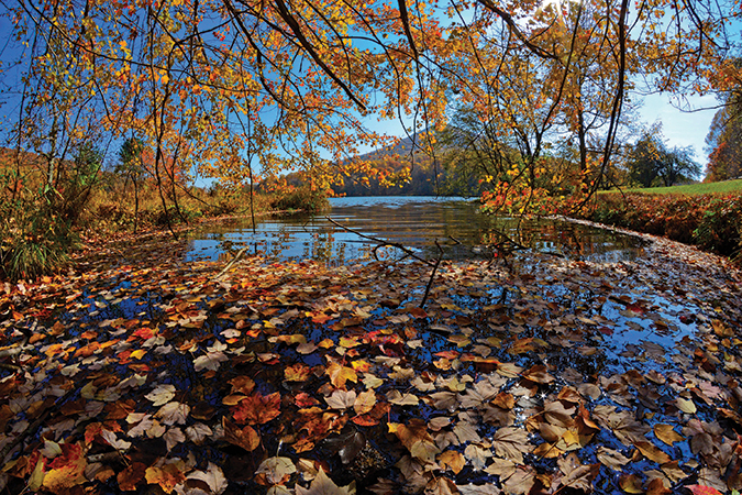 Abbott Lake at the Peaks of Otter Lake along the Blue Ridge Parkway in Virginia. From the photographer: “I had my 8mm lens attached to one of my cameras and it was the perfect lens to capture this beautiful autumn view of one of the Peaks, with floating leaves in the foreground.”