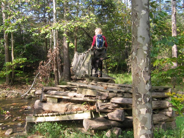 The Day Hiker and her dog cross Catawba Creek near the bottom of the Andy Lane Trail.