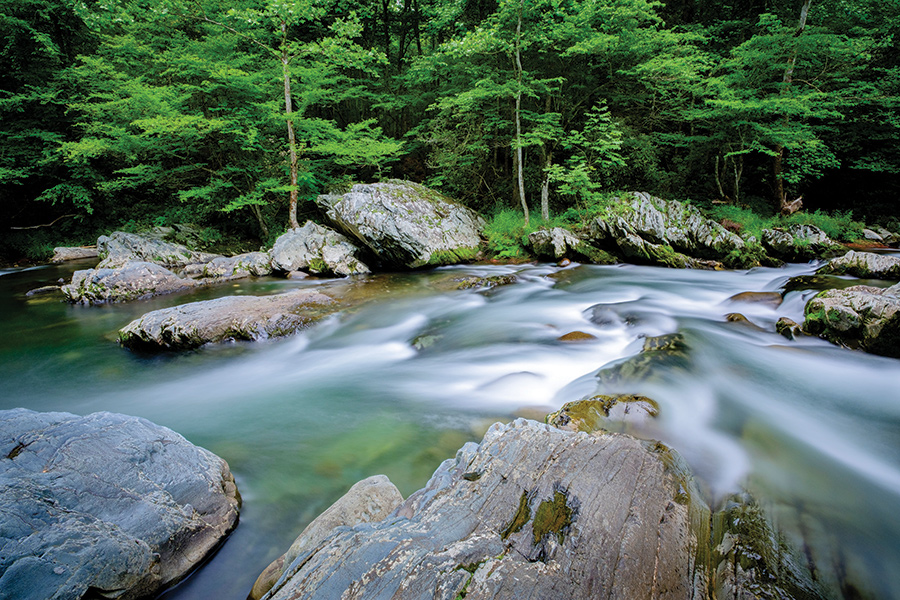 The Middle Prong of the Little Pigeon River flows through Great Smoky Mountains National Park. From the photographer: “The Little Pigeon, flowing full and surrounded by vibrant greens, is one of my favorite places to photograph on the Tennessee side of the Smokies.”