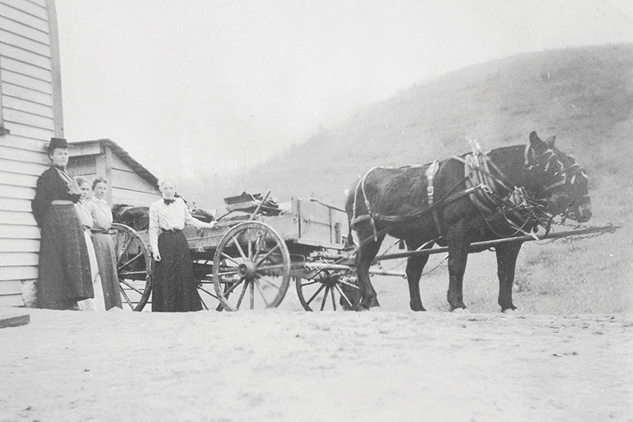 Frances Goodrich traveled via horse and buggy to deliver woolen yarn and other goods.