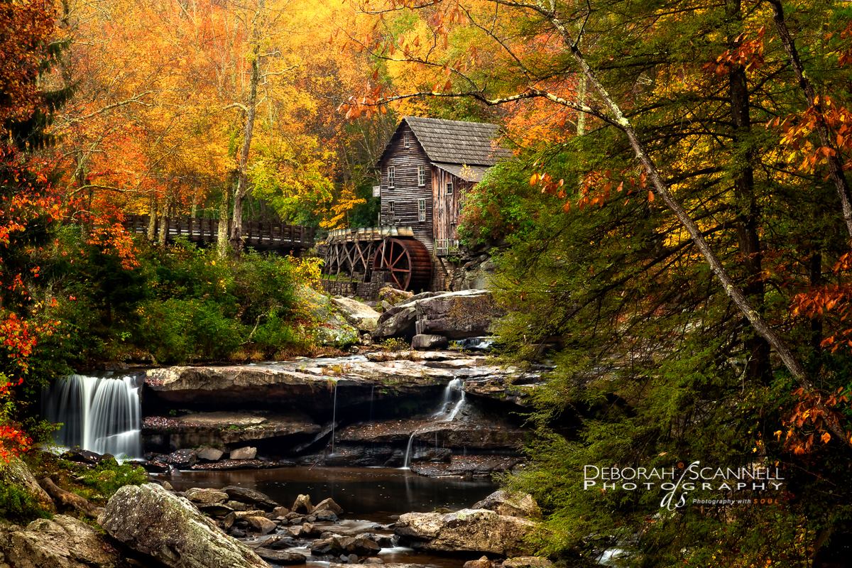 "Autumn Bliss"
Captured at Babcock State Park! feel free to share on FB © Deborah Scannell Photography - all rights reserved.
Running a special on this image for the month of October! - 13 x 19 on Hot Press Fine Art Paper with a 1" border, signed and titled. $50+sh/tx. contact me on my page for ordering details. Thank you folks - get out and enjoy this weather!