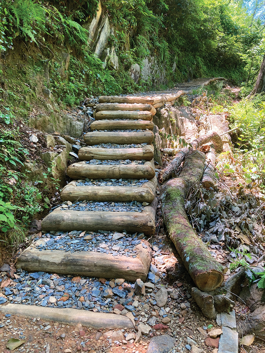 After: Shapiro’s goals are safety and use of natural materials wherever possible.