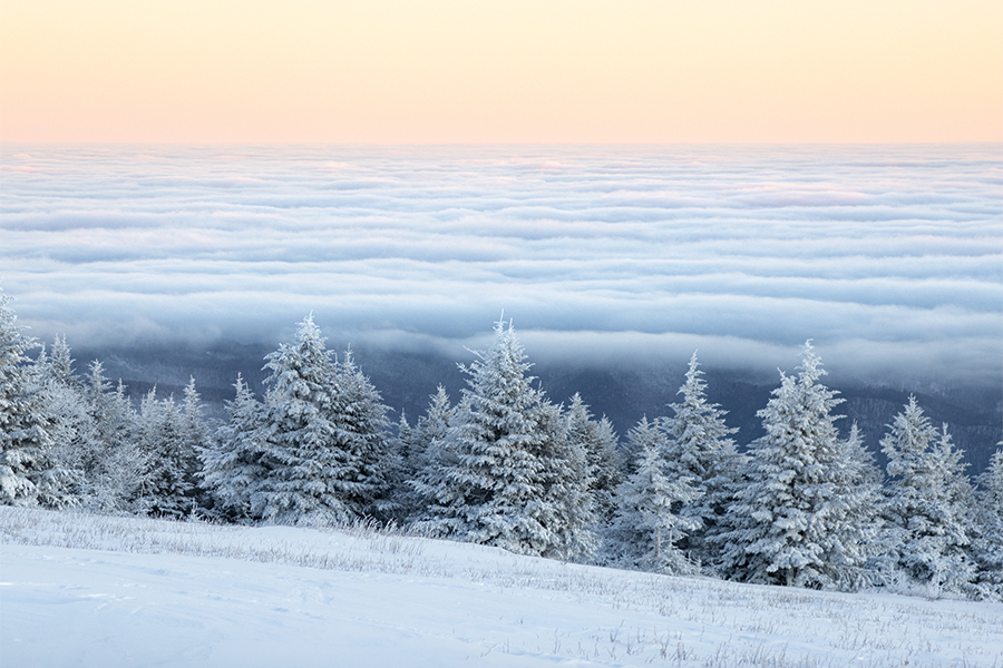 Roan Mountain on the Tennessee-North Carolina border after a fresh snowfall. From the photographer: “I was lucky enough to capture the fog blanketing the valley behind a row of coated evergreens with the tangerine of a winter sunrise lighting up the scene.”