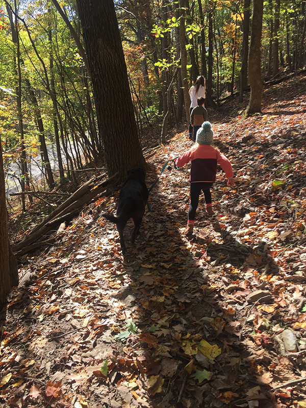11/2/19: These are a few of the shorter people, who made up more of the hiking turnout than did tall people, on this early-November family walk.