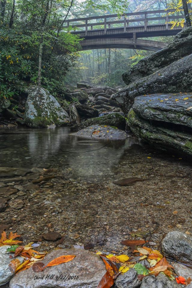 With the early morning fog still lingering, the colorful leaves begin to fall and go on display in the waters of Boone Fork Creek, mile marker 299.9, Blue Ridge Parkway, September 22, 2015. The bridge is on the Tanawha Trail crossing Boone Fork. www.facebook.com/DavidHillPhotos