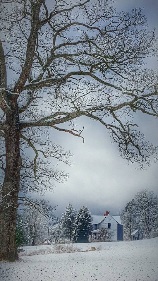 Winter in Banner Elk NC
Photo by Dr Joe Nitti DC