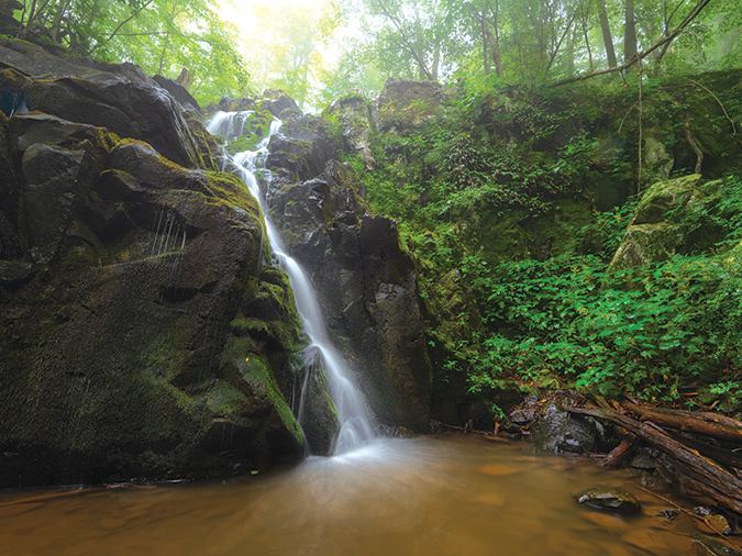 Overall Run Falls is the tallest in the park, at 93 feet.