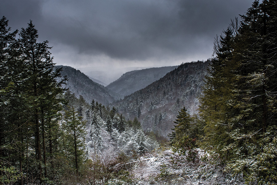 Blackwater Canyon, West Virginia, as captured during the first significant snow fall of last year, forming a blend of white and evergreen colors. A snowflake starts as a single crystal that forms when water freezes. The crystal will collide with other crystals lumping together and growing larger as they fall, forming the snowflake. All snowflakes are hexagonal, but part of the allure of snowflakes is that they are all unique.
