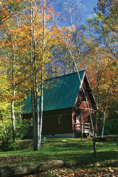 Cabins and chalets come in various sizes.