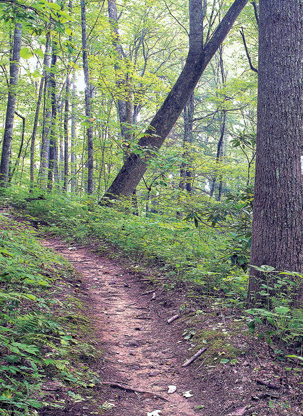The Appalachian Trail.  
The Great Trail crosses the western border region of Rocky Fork. The trail’s presence was a major factor in the Appalachian Trail Conservancy’s leading role in the efforts to save Rocky Fork.