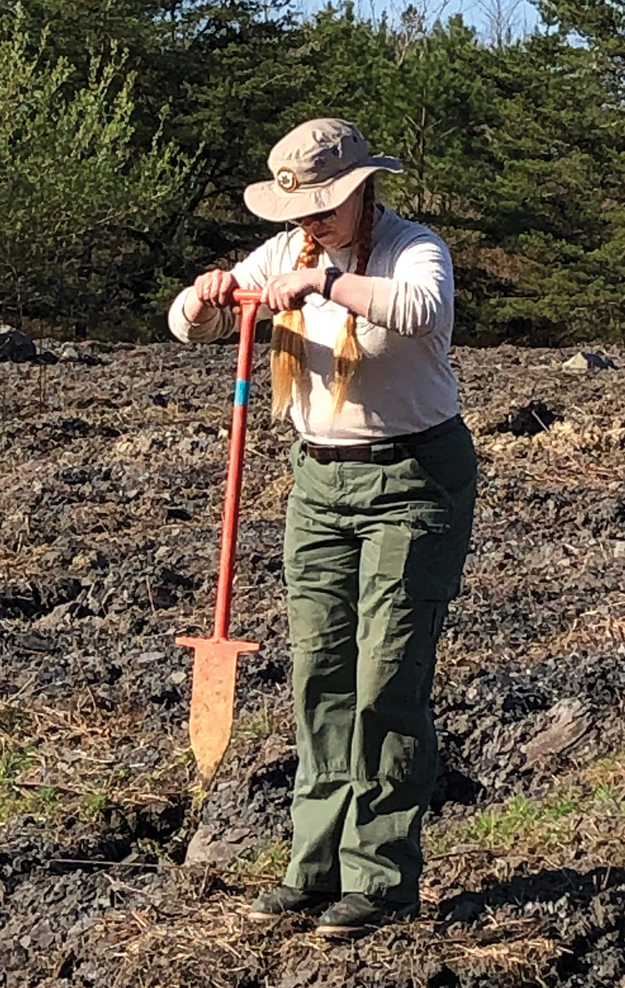 Thousands of trees were planted in the footprint of the old mine site.
