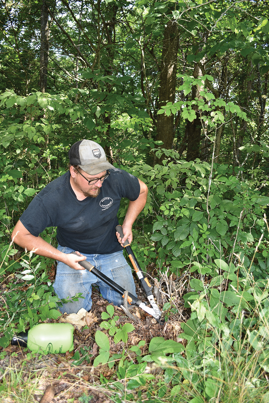 Removing a patch of autumn olive is one way Trevor Saville works to improve wildlife habitat.