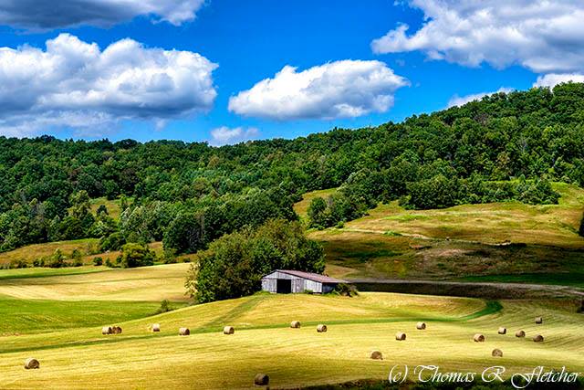 "Summer Morn"

~ West Virginia ~

My goal is to capture and present the beauty that surrounds us. Please feel free to share my work with your friends and family. If you haven’t done so already, a “like” on my photo page would be greatly appreciated.

Images are available to license for editorial and advertising usage. Contact me for licensing information. Prints are available on my fine art site.

I offer photo workshops for anyone interested. If you'd like to photograph wild wonderful West Virginia with me and get some professional instruction along the way, send me a message.