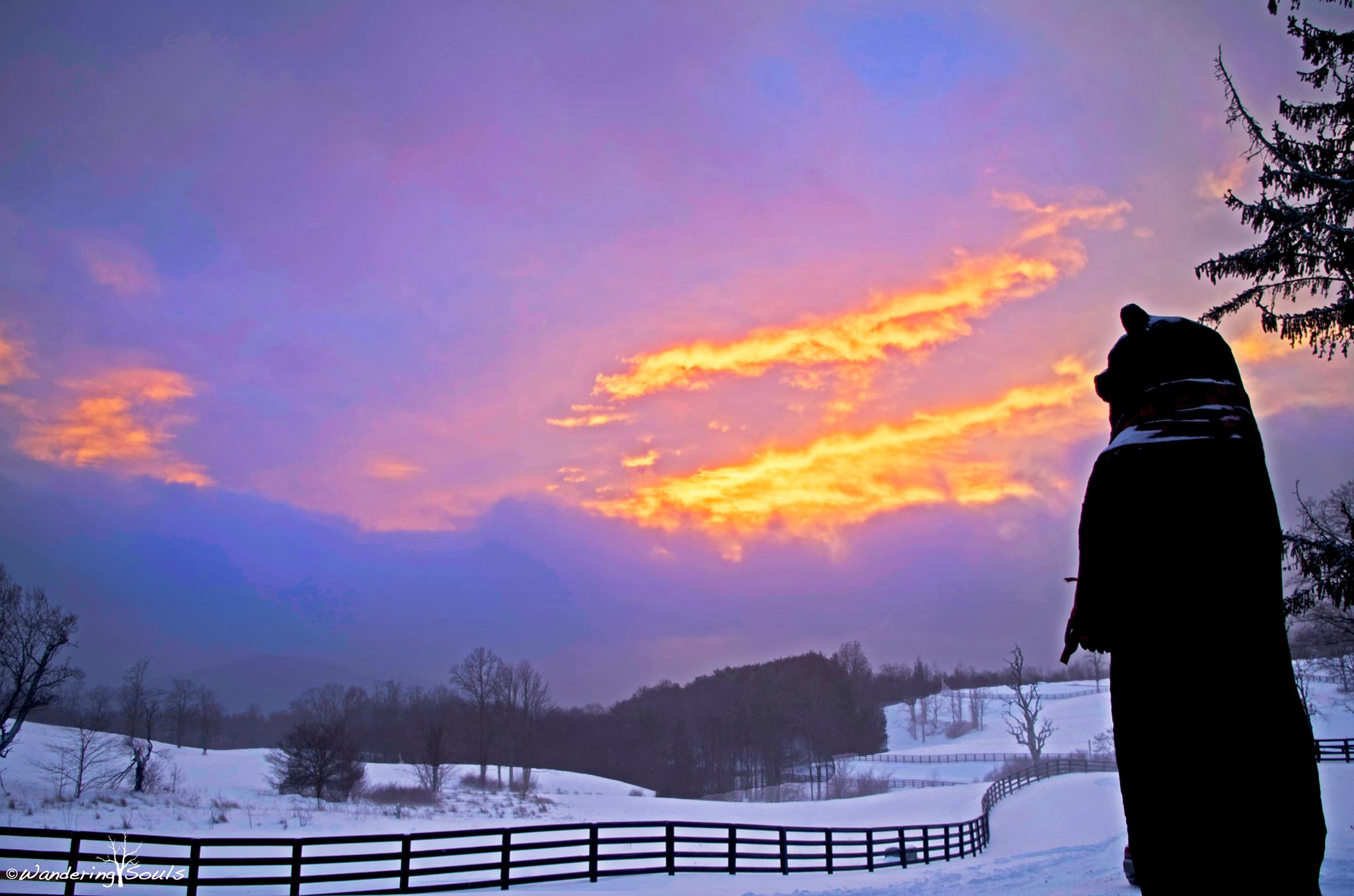 Snowy Bear Wallow road near Gerton, Nc.