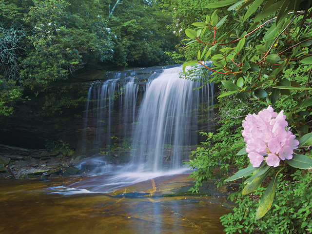The trailhead for Panthertown Valley’s Schoolhouse Falls is at the end of Cold Mountain Road, near Lake Toxaway, southwest of Asheville. Trail routes are shown on the information board at the trailhead.