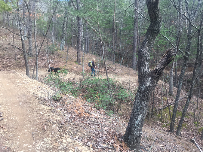 The Greatest Day Hiker Of Them All and her dog, Cookie, make their way along the Hotel Trail.