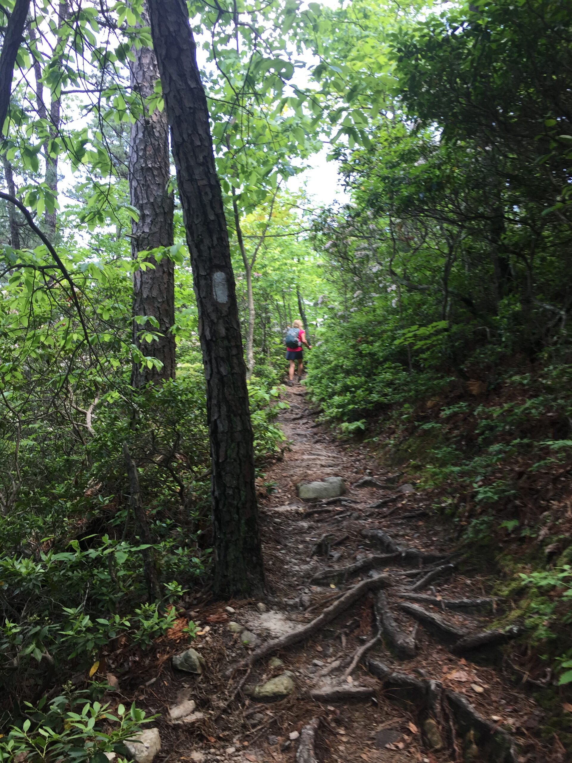 May 13: Lunch along the stream at Falls Ridge.