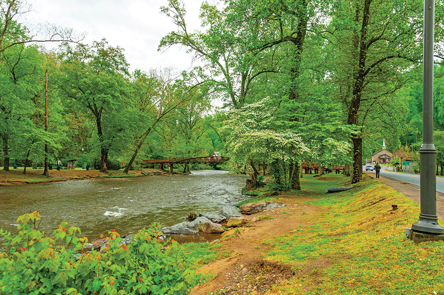 Mature sycamore and oak trees are abundant at Oconaluftee Islands Park in Cherokee, North Carolina.