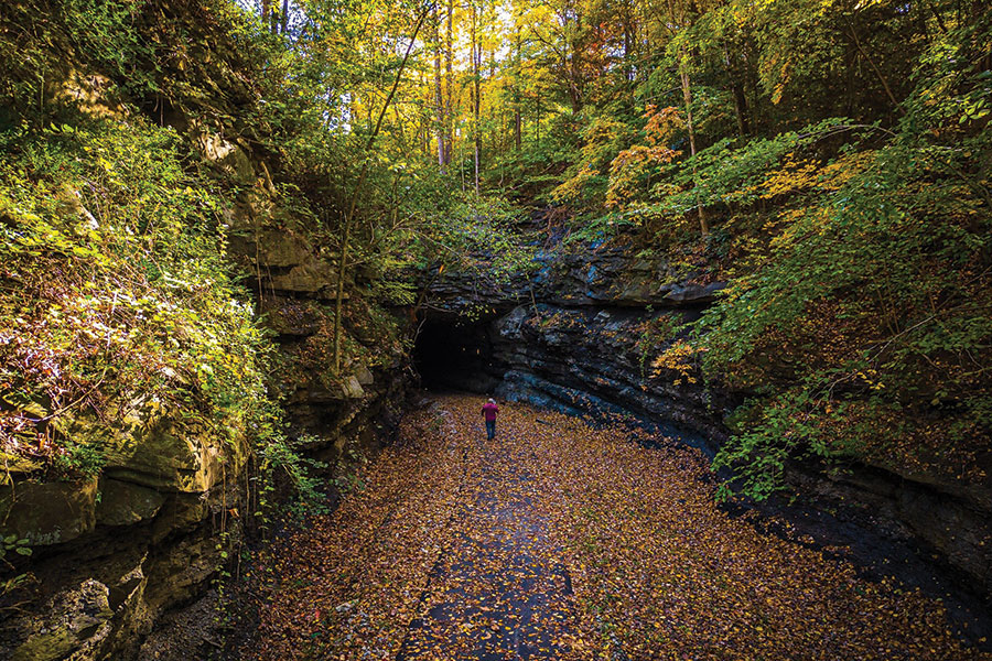 Whitesburg, Kentucky’s Tanglewood Trail is an 
easy walk.