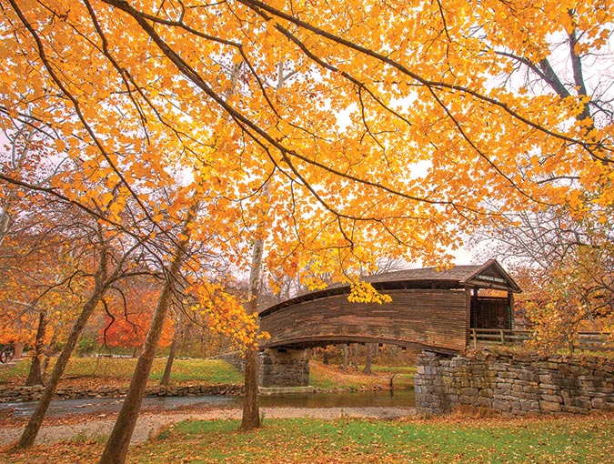 A cascade of golden maple leaves frame the 161-year-old year Humpback Covered Bridge just outside Covington, Virginia, on a late autumn afternoon. This bridge is the only one of its design and the oldest remaining covered bridge in Virginia.