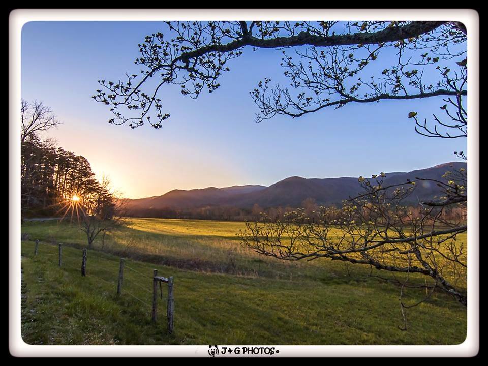 A clear sunshine morning in the cove...

The early morning sun was burning through trees as I was looking down the valley through the blooming dogwood tree. This was the beginning of another beautiful day in Cades Cove.

Photo shot in Cades Cove, Great Smoky Mountains National Park.

For more of our work check out and like our photo page https://www.facebook.com/JandGPhotos

Likes, comments and shares are welcomed, but please do not alter the photos (crop the border and our copyright) and use it as your own.
