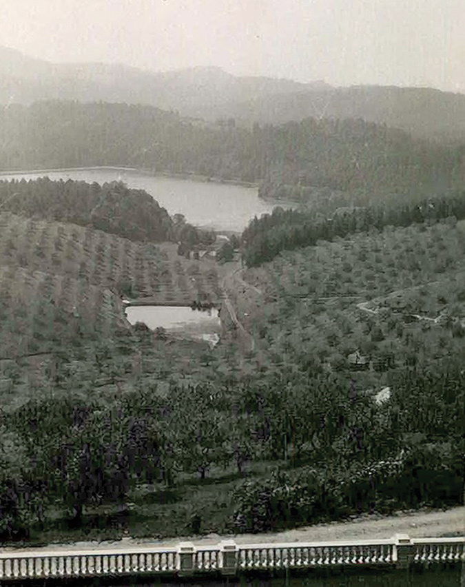 This view of the Cone apple orchards is from the house, circa 1940.