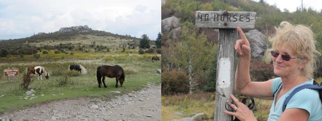 We saw a few wild ponies along the Appalachian Trail, and soon after that we saw this sign, about which Gail said, "I sure hope the ponies can read!"