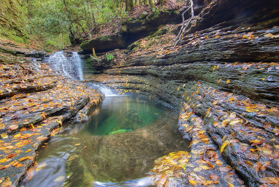 Devil’s Bathtub in Scott County, Virginia, along Devil’s Fork Creek. From the photographer: “Reaching this unique formation is a difficult hike involving 13 creek crossings but well worth the effort. There are several falls along the way.”