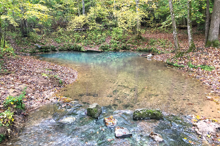 Blue Hole Spring in Lafayette, Georgia, captures spring water for a cold plunge.