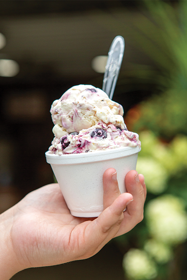 McConnell Farms offers up to 20 ice cream flavors, including exotics like blackberry chocolate chip.