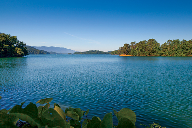 Tennessee’s South Holston Lake is known for its huge catfish.