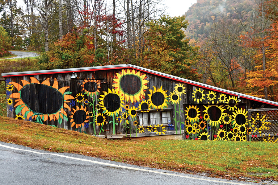 This barn was painted by Rebecca Coleman, and she often used it as her studio. The barn is located at the intersection of  Slick Rock Road and Hwy. 64 near Bat Cave, North Carolina.  The size of the barn is 3,000 square feet. From the photographer:  “A popular and cheery roadside attraction on Hwy. 64, greeting both cyclists and motorists along the way to Bat Cave.”