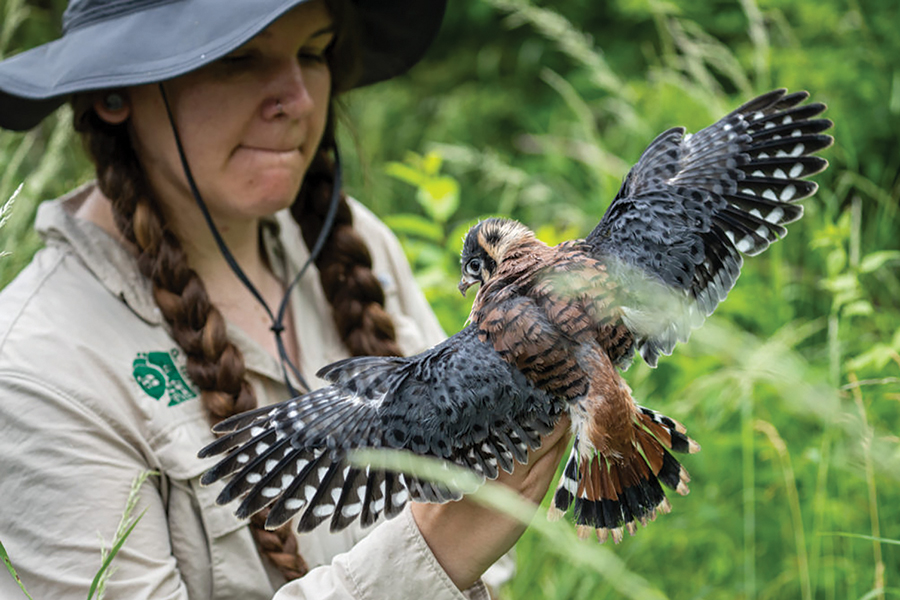 October Greenfield is habitat restoration coordinator at Virginia’s Piedmont Environmental Trust.
