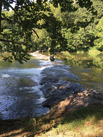 The Clinch River is one of the cleanest in the East.