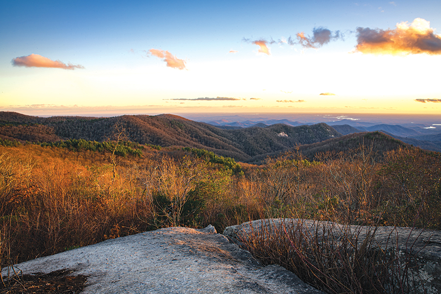 Sassafras Mountain’s name pays homage to the fragrant native tree of the same name.