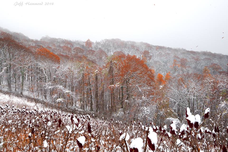 Rocky Knob on the parkway back in Nov when the snow met fall.