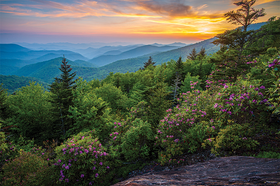 Colorful Catawba rhododendron help frame a lovely, multi-layered sunset scene, as seen from an opening near Bear Trap Gap Overlook, milepost 428 on the Blue Ridge Parkway.