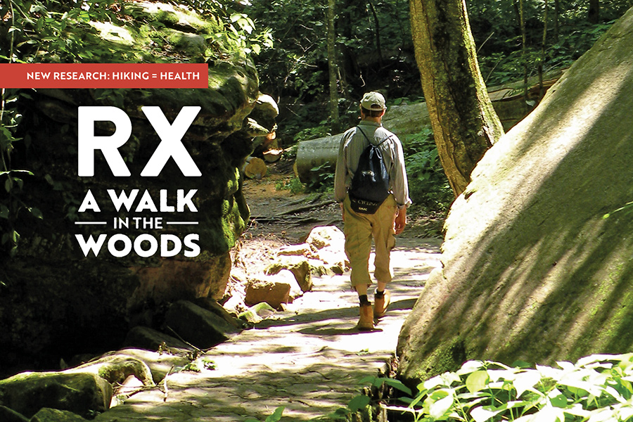 The uneven terrain of a trail requires you make hundreds of tiny adjustments to your gait, enhancing your brain power as well as your leg muscles.