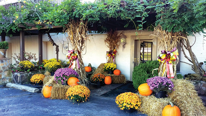 Rich and Charline Meadors' Sally Gaps Farms.