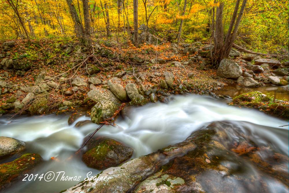 thank you for "sharing"...