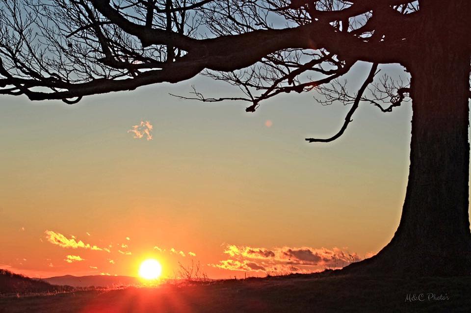"Sunset Silhouette"
Taken on top of Allegheny Mountain in Highland County, Virginia
Photo taken by M&C Photo's