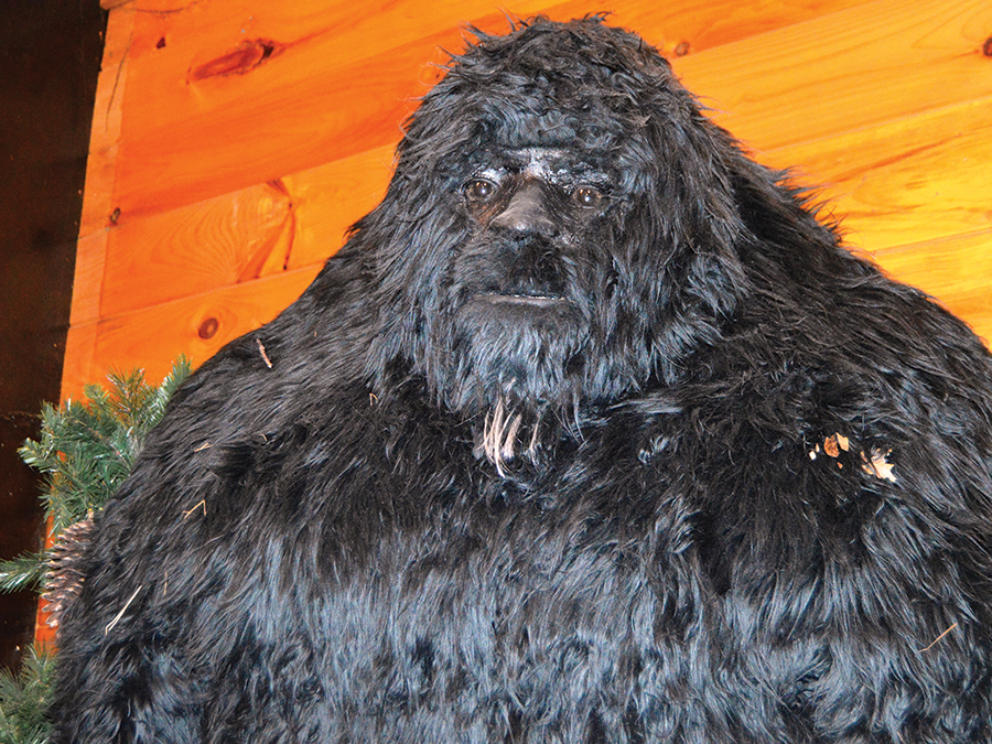 Beware of the hairy Bigfoot model at The Sasquatch Museum in Georgia.