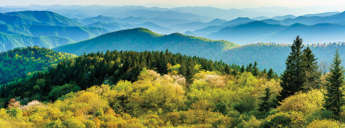 Spring foliage from Cowee Mountains Overlook at Mile Post 430.7 in North Carolina. This image was taken one evening in late May when spring was still starting up at the high elevations of the Blue Ridge Mountains of North Carolina. From the photographer:  “I waited until the light created backlit early foliage and just began to touch the foreground ridges for separation from the  distant ridges and to help create a 3D effect. It was a beautiful evening with low wind and cool temperatures and the sarvis tree blooms were peaking.”