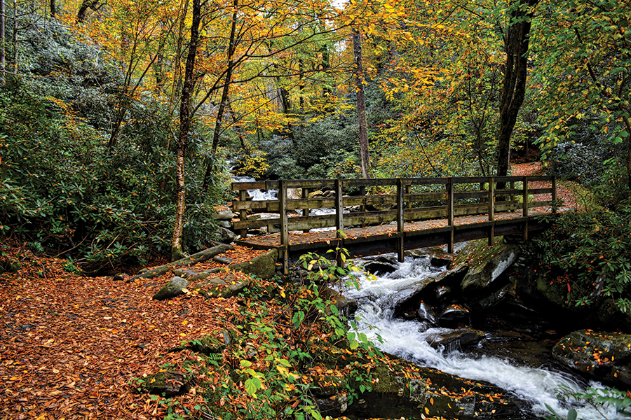 The 3.5-mile out-and-back Chimney Tops Trail, Gatlinburg, Tennessee, includes a section along Road Prong Creek.